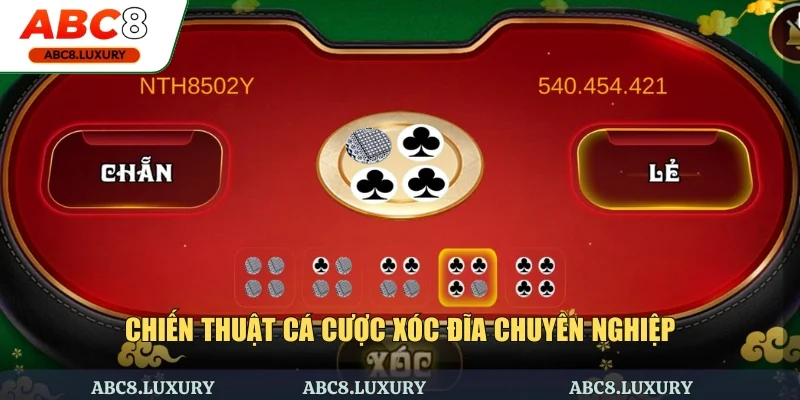 Chiến thuật cá cược xóc đĩa chuyên nghiệp