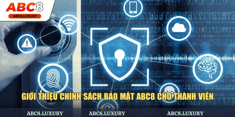 Giới thiệu chính sách bảo mật ABC8 cho thành viên